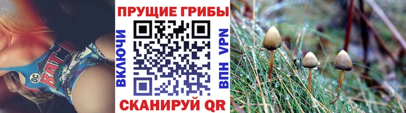Галлюциногенные грибы Magic Shrooms  Сургут 